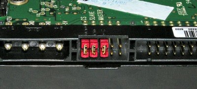 WD_PATA_SAFE_sm.JPG