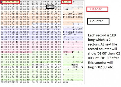 NTFS File Record counter.jpg