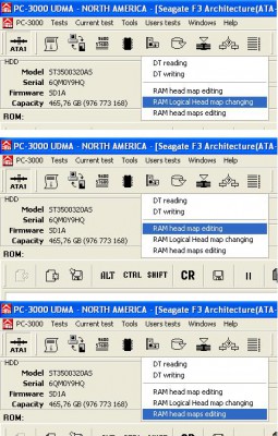 RAM head maps.JPG