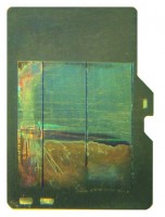 MicroSD.jpg